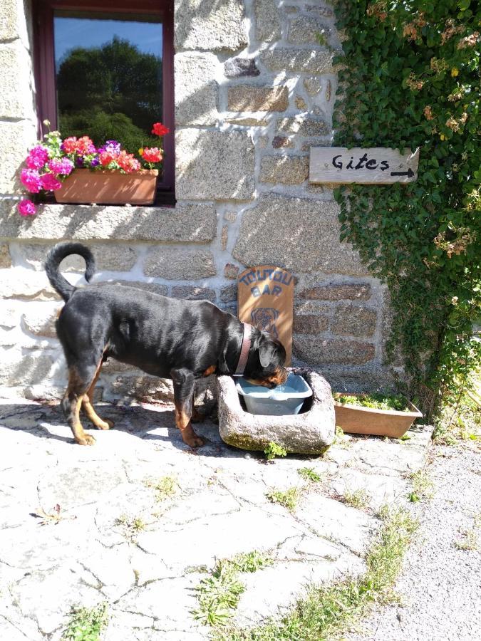 Domaine De Lesvaniel Bed & Breakfast Landudec Dış mekan fotoğraf